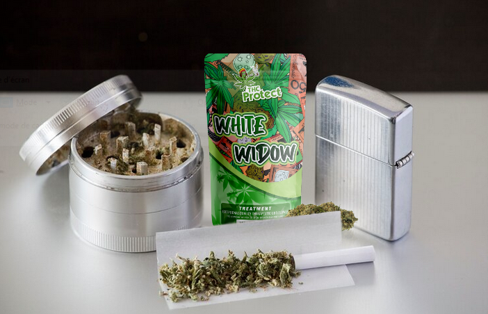 Kust leida White Widow CBD lilli parima hinnaga?